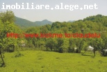5000 mp teren in Valea Lunga ideal ptr. case de vacanta