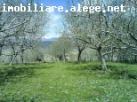 5000mp zona pitoreasca acces imediat din Campulung Muscel