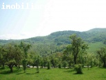 Campulung-Suslanesti, livada intravilan la sosea