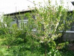 VAND CASA / SCHIMB