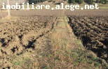 de vanzare