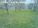 particular vand 4827 mp zona munte pret chilipir