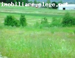 vand teren 2,6 ha statiunea M.CIUC