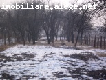 vanzare